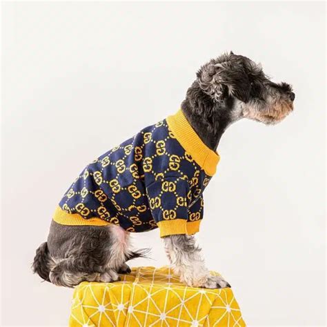 gucci dog shoes|designer dog clothes gucci.